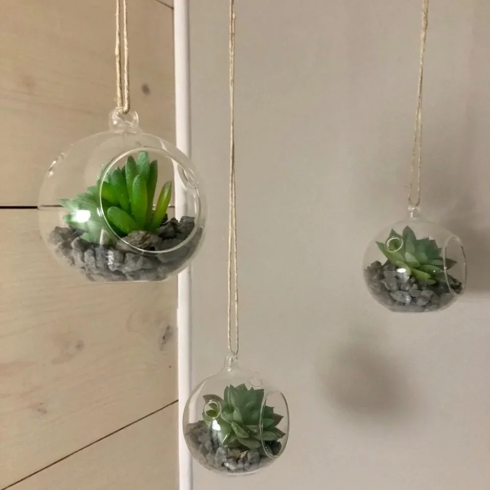 Set of 3 succulent terrariums - Picture 5 of 16